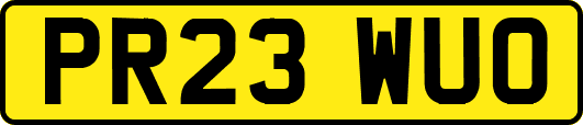 PR23WUO