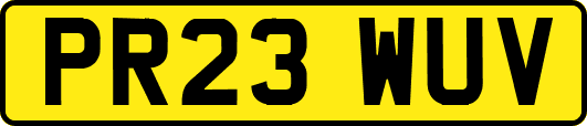 PR23WUV