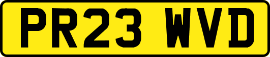 PR23WVD
