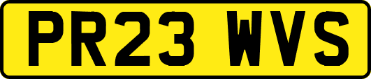 PR23WVS