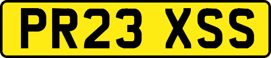 PR23XSS