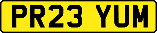 PR23YUM