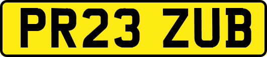 PR23ZUB