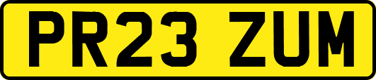 PR23ZUM