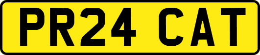 PR24CAT