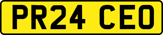 PR24CEO