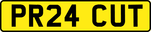 PR24CUT