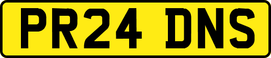 PR24DNS