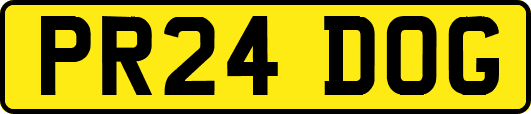 PR24DOG