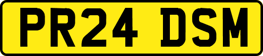 PR24DSM