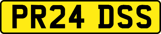 PR24DSS