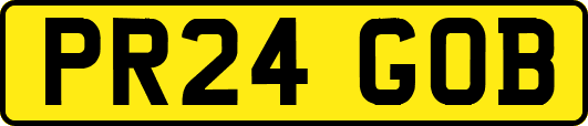 PR24GOB