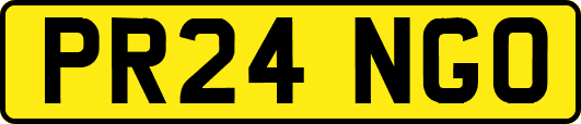 PR24NGO