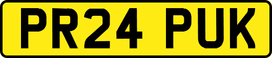 PR24PUK
