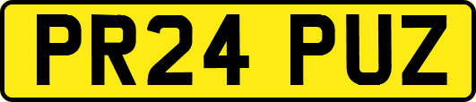 PR24PUZ
