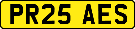 PR25AES