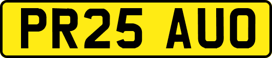 PR25AUO