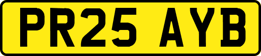 PR25AYB