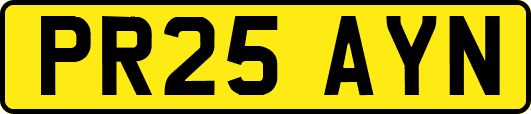 PR25AYN