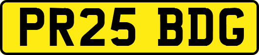 PR25BDG