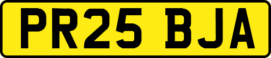 PR25BJA