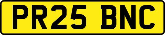 PR25BNC