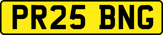 PR25BNG