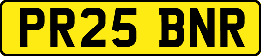PR25BNR