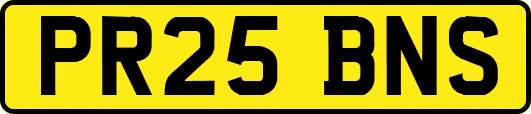 PR25BNS