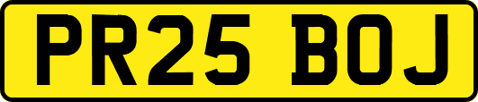 PR25BOJ