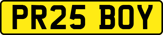 PR25BOY