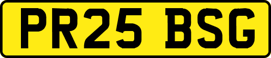 PR25BSG