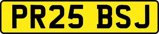 PR25BSJ