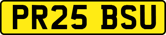 PR25BSU