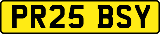 PR25BSY