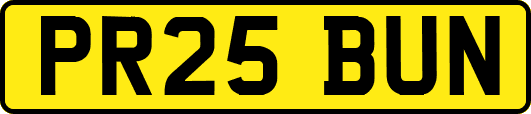 PR25BUN