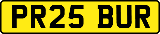 PR25BUR