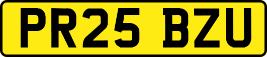 PR25BZU