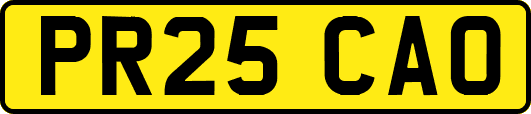 PR25CAO