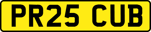 PR25CUB
