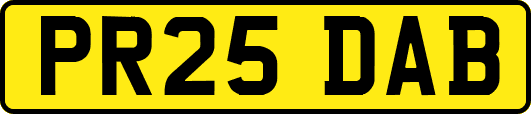 PR25DAB