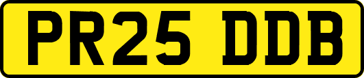 PR25DDB