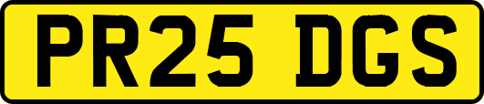 PR25DGS