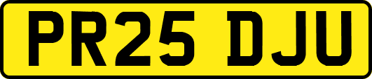 PR25DJU