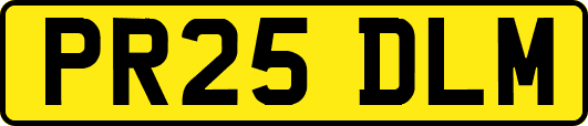 PR25DLM