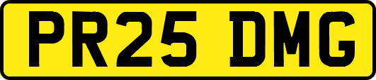 PR25DMG