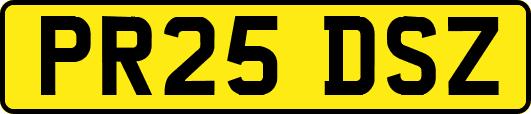 PR25DSZ