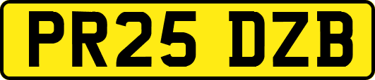 PR25DZB