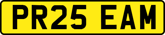 PR25EAM