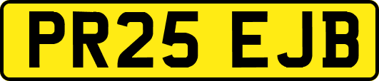 PR25EJB